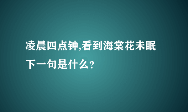 凌晨四点钟,看到海棠花未眠下一句是什么？