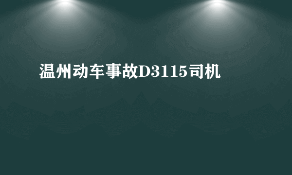 温州动车事故D3115司机