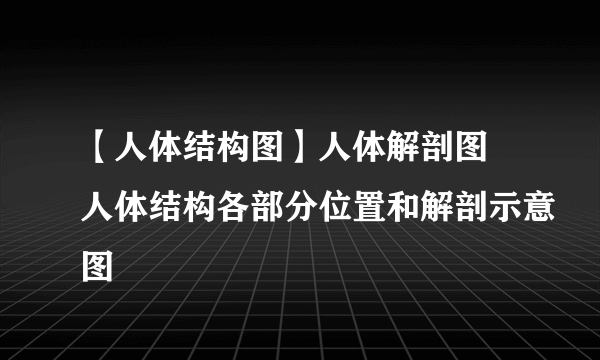 【人体结构图】人体解剖图 人体结构各部分位置和解剖示意图