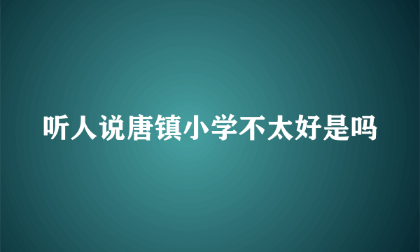 听人说唐镇小学不太好是吗