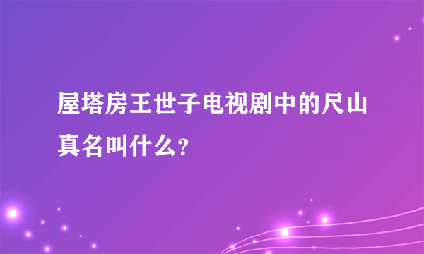 屋塔房王世子电视剧中的尺山真名叫什么？