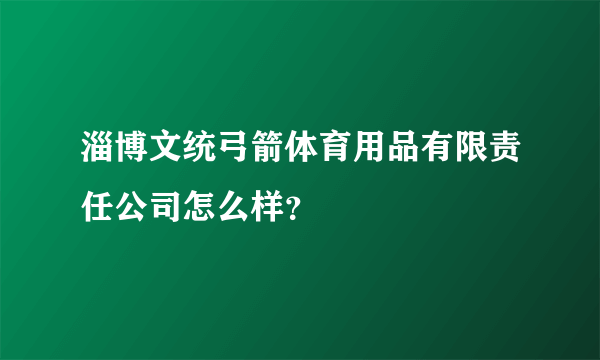 淄博文统弓箭体育用品有限责任公司怎么样？