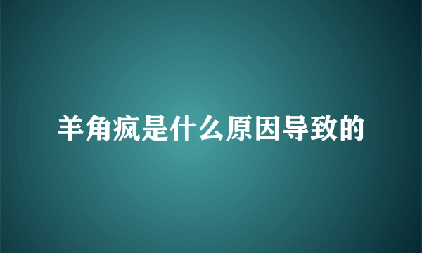 羊角疯是什么原因导致的