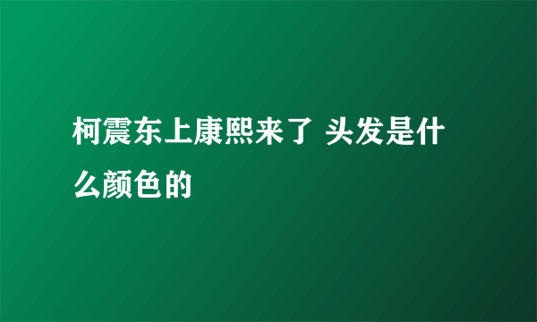 柯震东上康熙来了 头发是什么颜色的