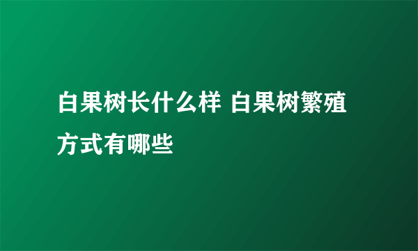 白果树长什么样 白果树繁殖方式有哪些