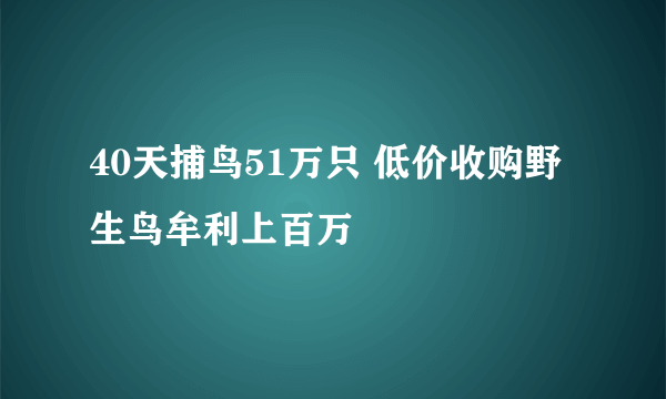 40天捕鸟51万只 低价收购野生鸟牟利上百万