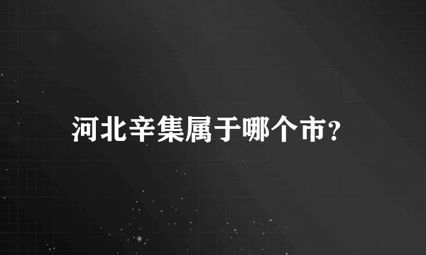 河北辛集属于哪个市？