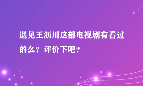 遇见王沥川这部电视剧有看过的么？评价下吧？