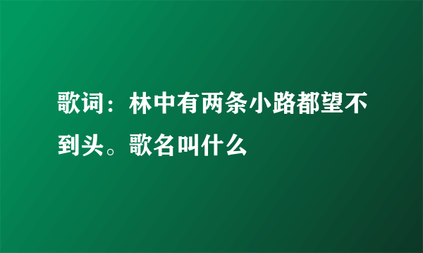 歌词：林中有两条小路都望不到头。歌名叫什么