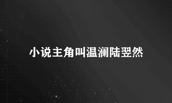 小说主角叫温澜陆翌然