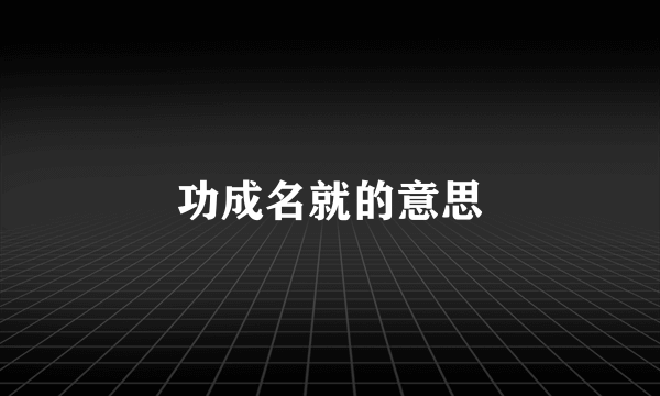 功成名就的意思