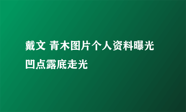 戴文 青木图片个人资料曝光 凹点露底走光