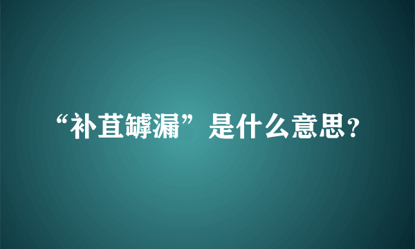 “补苴罅漏”是什么意思？