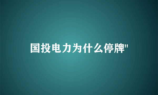 国投电力为什么停牌