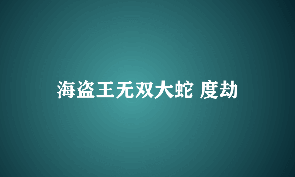 海盗王无双大蛇 度劫