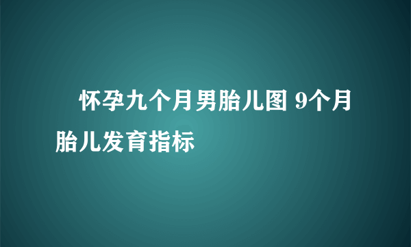 ​怀孕九个月男胎儿图 9个月胎儿发育指标