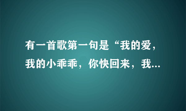 有一首歌第一句是“我的爱，我的小乖乖，你快回来，我吃不下没你陪的饭菜。这是什么歌