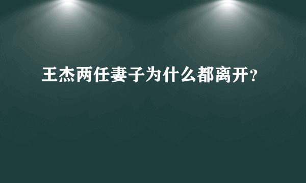 王杰两任妻子为什么都离开？