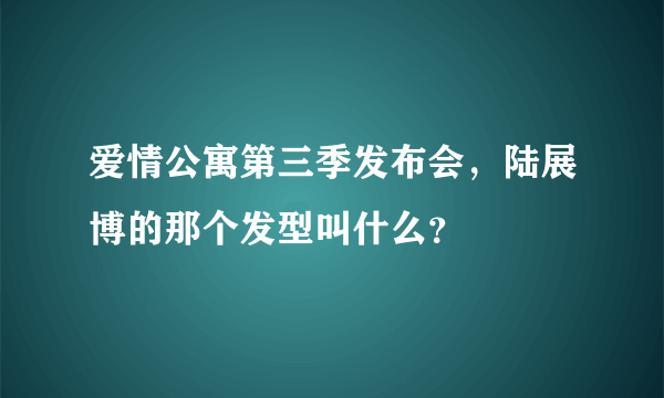 爱情公寓第三季发布会，陆展博的那个发型叫什么？