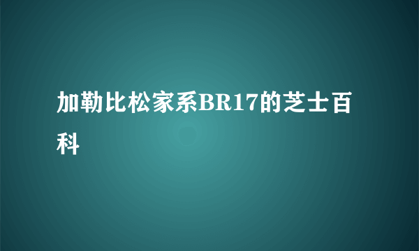 加勒比松家系BR17的芝士百科