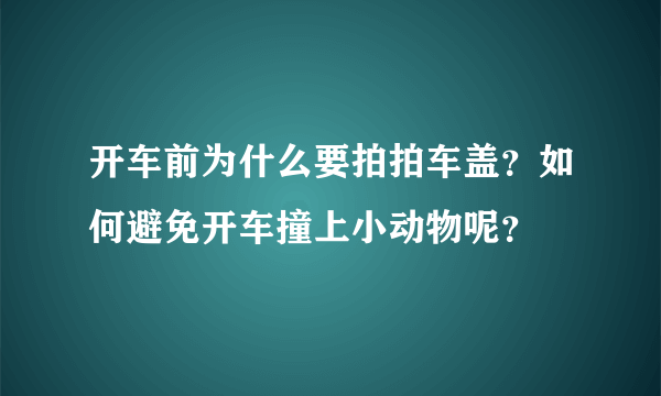 开车前为什么要拍拍车盖？如何避免开车撞上小动物呢？