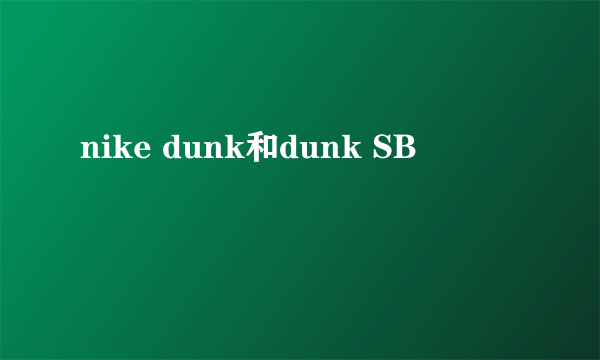 nike dunk和dunk SB