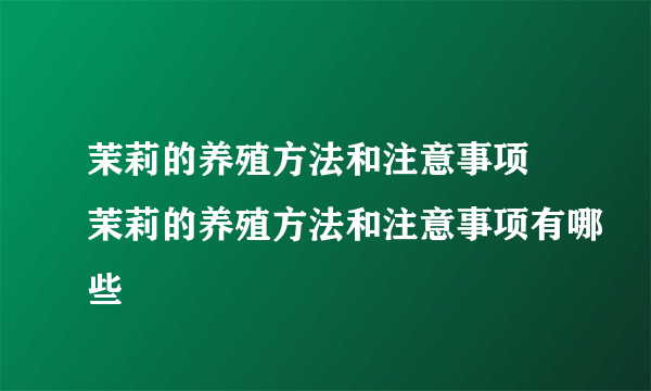 茉莉的养殖方法和注意事项 茉莉的养殖方法和注意事项有哪些