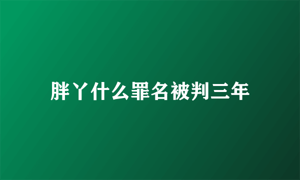 胖丫什么罪名被判三年