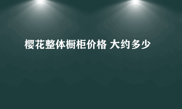 樱花整体橱柜价格 大约多少