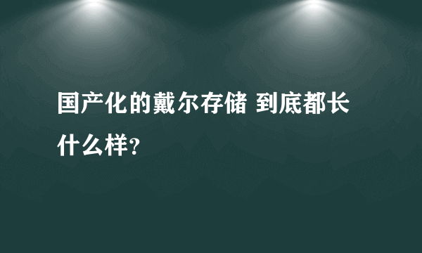 国产化的戴尔存储 到底都长什么样？