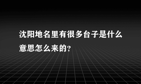 沈阳地名里有很多台子是什么意思怎么来的？