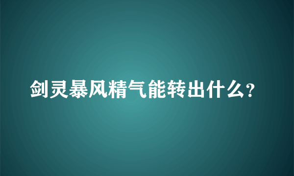 剑灵暴风精气能转出什么？