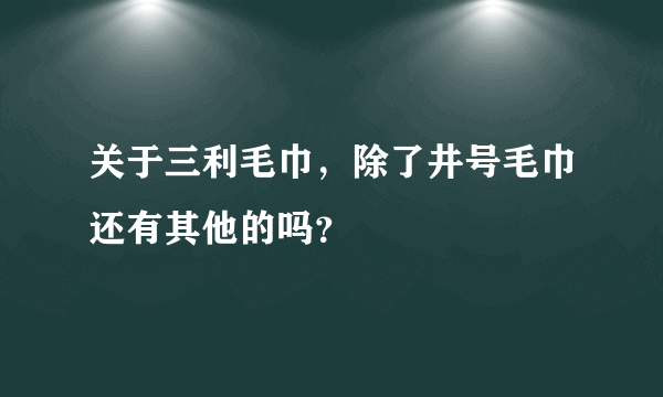 关于三利毛巾，除了井号毛巾还有其他的吗？