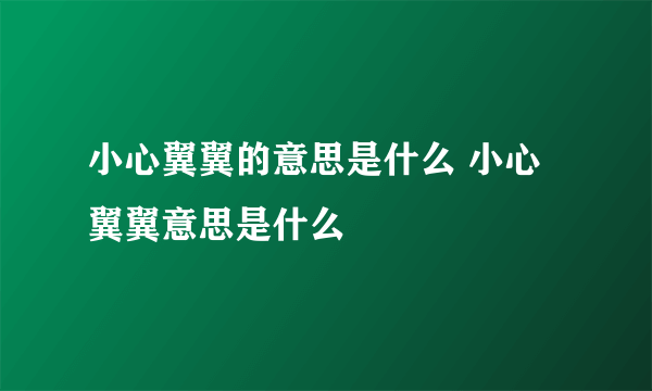 小心翼翼的意思是什么 小心翼翼意思是什么