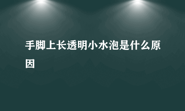 手脚上长透明小水泡是什么原因