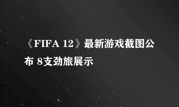 《FIFA 12》最新游戏截图公布 8支劲旅展示