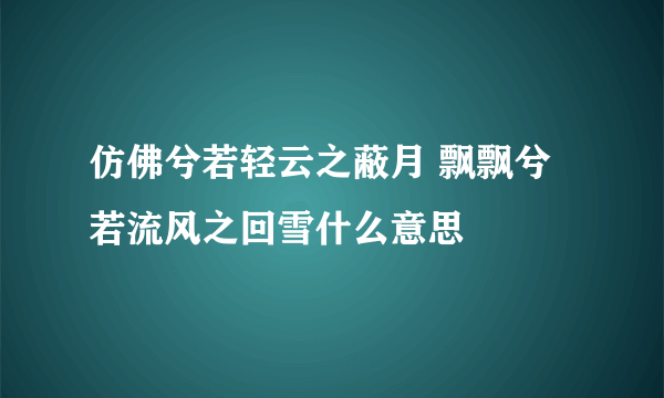 仿佛兮若轻云之蔽月 飘飘兮若流风之回雪什么意思