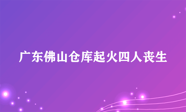 广东佛山仓库起火四人丧生