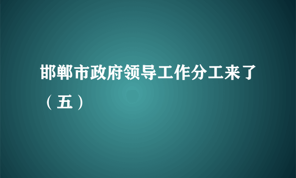 邯郸市政府领导工作分工来了（五）