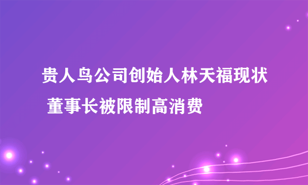 贵人鸟公司创始人林天福现状 董事长被限制高消费