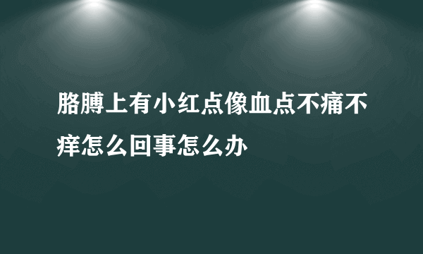 胳膊上有小红点像血点不痛不痒怎么回事怎么办