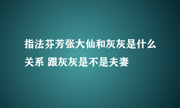 指法芬芳张大仙和灰灰是什么关系 跟灰灰是不是夫妻