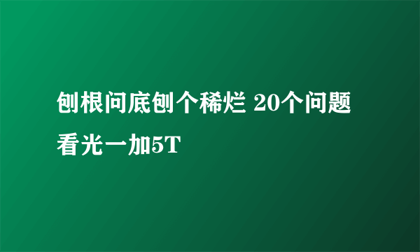 刨根问底刨个稀烂 20个问题看光一加5T