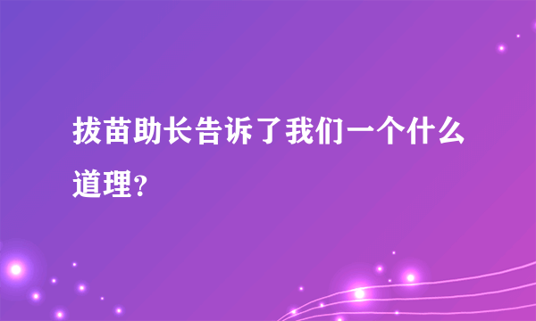 拔苗助长告诉了我们一个什么道理？