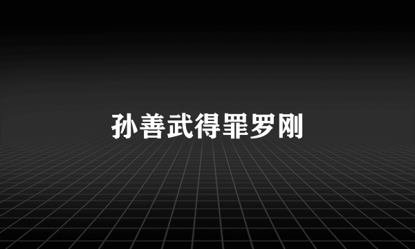 孙善武得罪罗刚