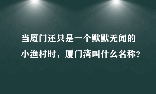 当厦门还只是一个默默无闻的小渔村时，厦门湾叫什么名称？