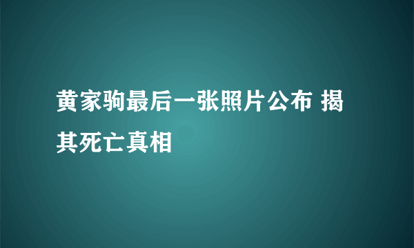 黄家驹最后一张照片公布 揭其死亡真相