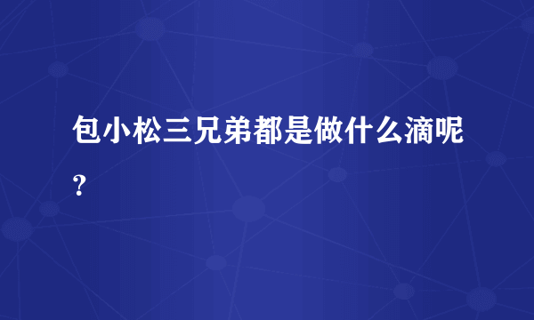 包小松三兄弟都是做什么滴呢？