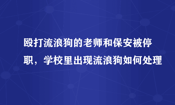 殴打流浪狗的老师和保安被停职，学校里出现流浪狗如何处理