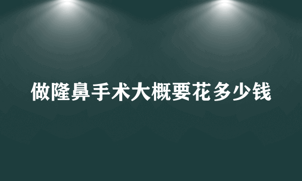 做隆鼻手术大概要花多少钱